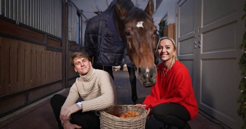Julshow från Sweden International Horse Show på TV4 Play stream