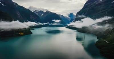 Livet på kontinenterna