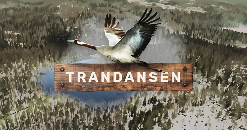 Trandansen SVT Play live stream