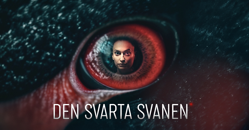 Den svarta svanen på SVT Play stream
