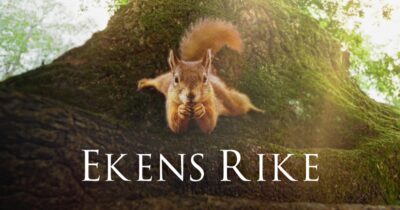 Dox: Ekens rike
