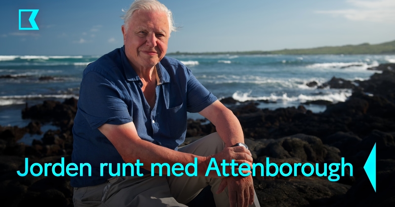 Jorden runt med Attenborough på SVT Play streama Kunskapskanalen