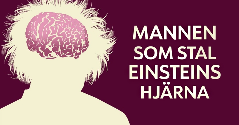 Mannen som stal Einsteins hjärna på UR Play Kunskapskanalen