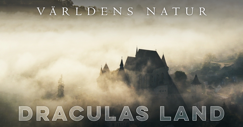 Världens natur: Draculas land på SVT Play streama