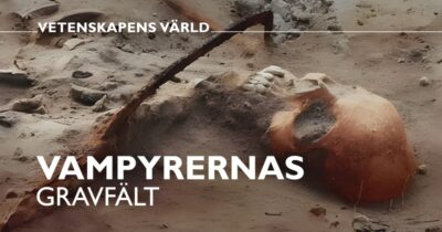 Vetenskapens värld: Vampyrernas gravfält