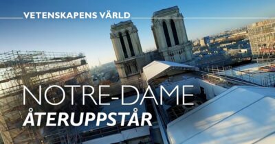 Vetenskapens värld: Notre-Dame återuppstår