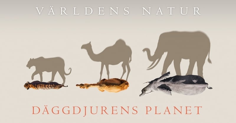 Världens natur: Däggdjurens planet