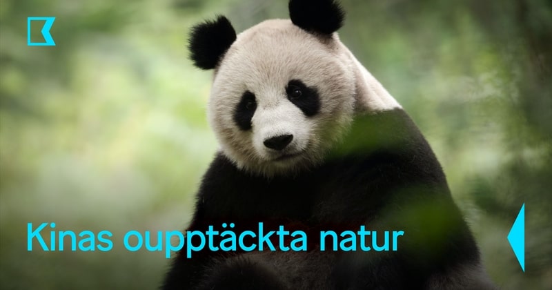 Kinas oupptäckta natur på SVT Play Kunskapskanalen