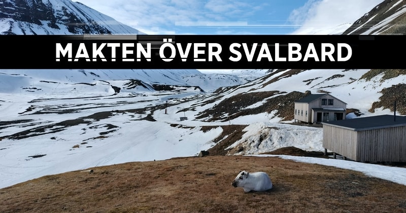 Makten över Svalbard på SVT Play streama