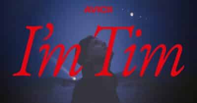 Avicii - I’m Tim
