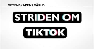 Vetenskapens värld: Striden om Tiktok