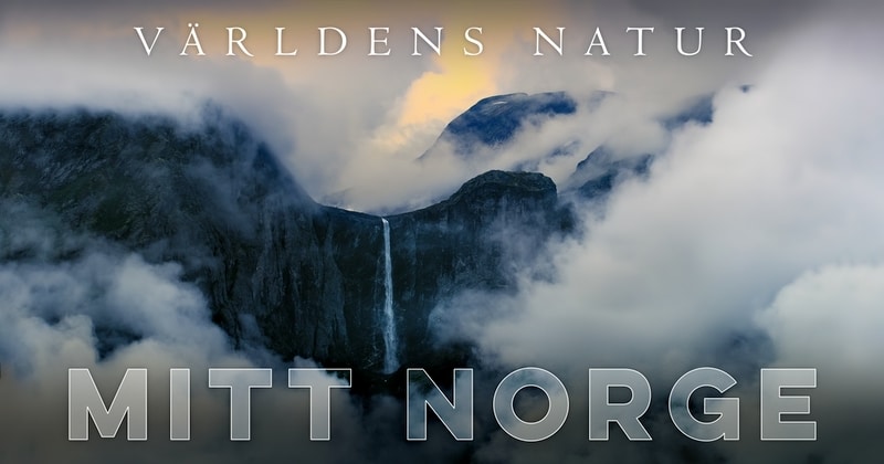 Världens natur: Mitt Norge på SVT Play streama