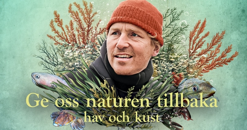 Ge oss naturen tillbaka - hav och kust på SVT Play streama