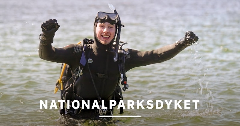Nationalparksdyket PÅ SVT Play streama