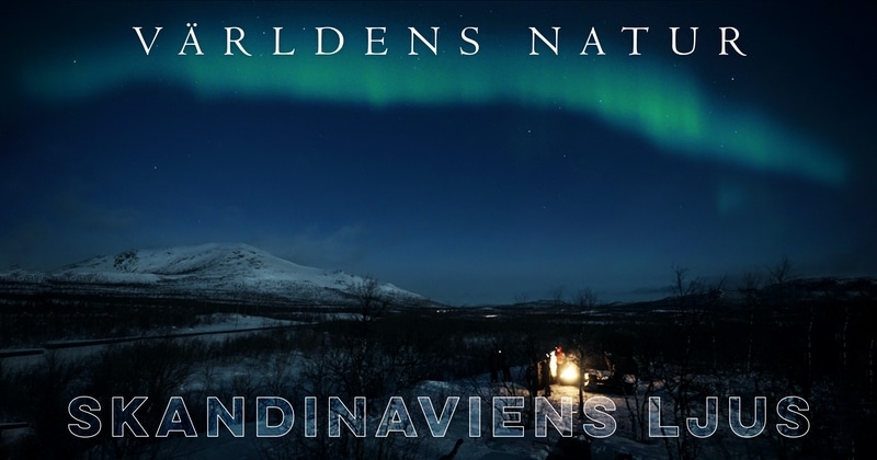 Världens natur: Skandinaviens ljus på SVT Play streama