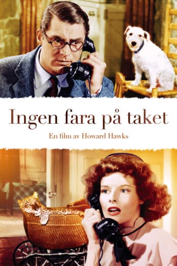 Ingen fara på taket