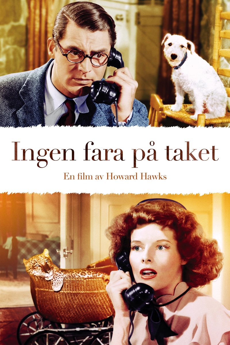 Ingen fara på taket