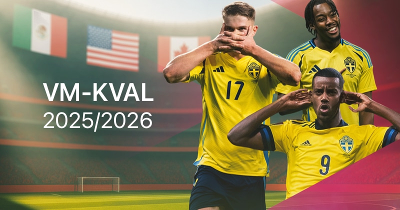 Sveriges VM-kval
