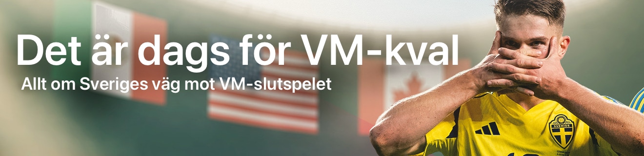 VM-kval: Allt om Sveriges väg mot VM-slutspelet