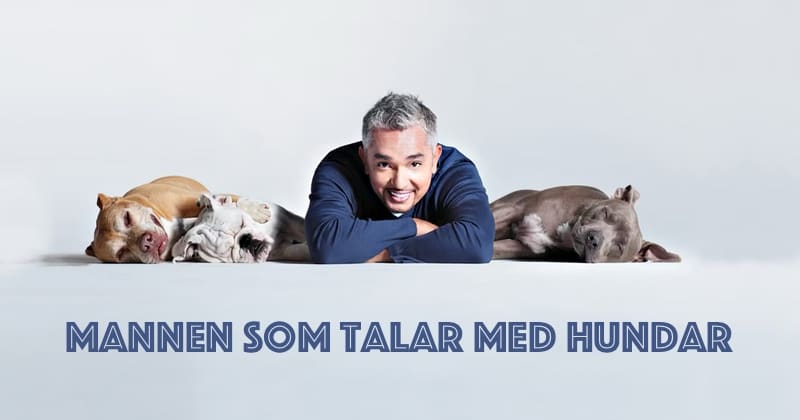 Mannen som talar med hundar på TV3 Play Pluto TV streama
