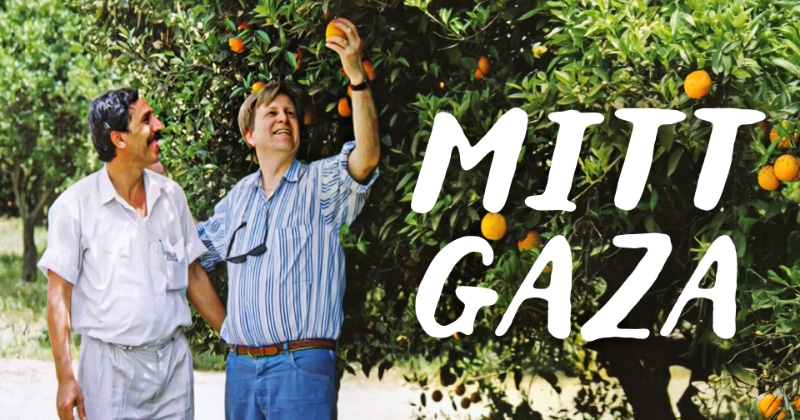 Mitt Gaza