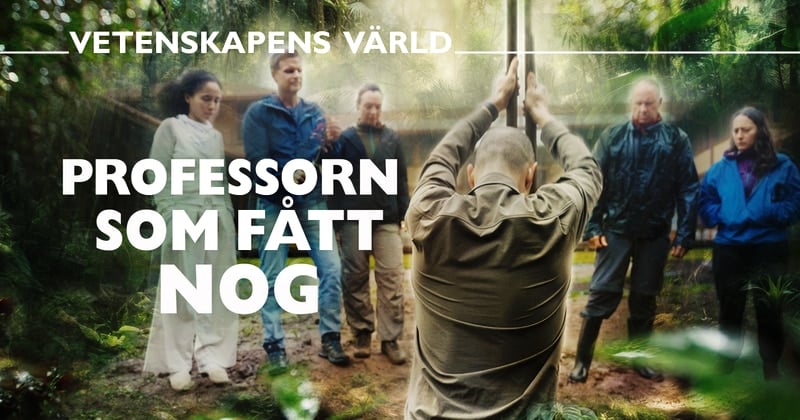 Professorn som fått nog på SVT Play streama