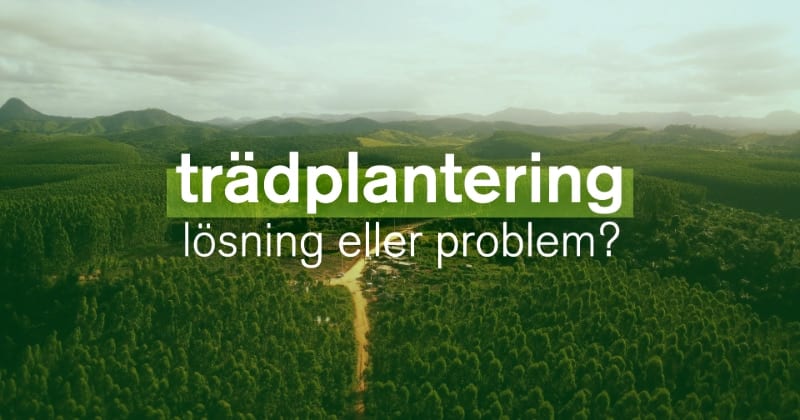 Trädplantering - lösning eller problem? på SVT Play streama