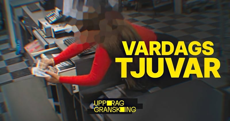 Uppdrag granskning: Vardagstjuvar