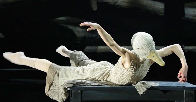 Vildanden som dansdrama SVT Play gratis stream