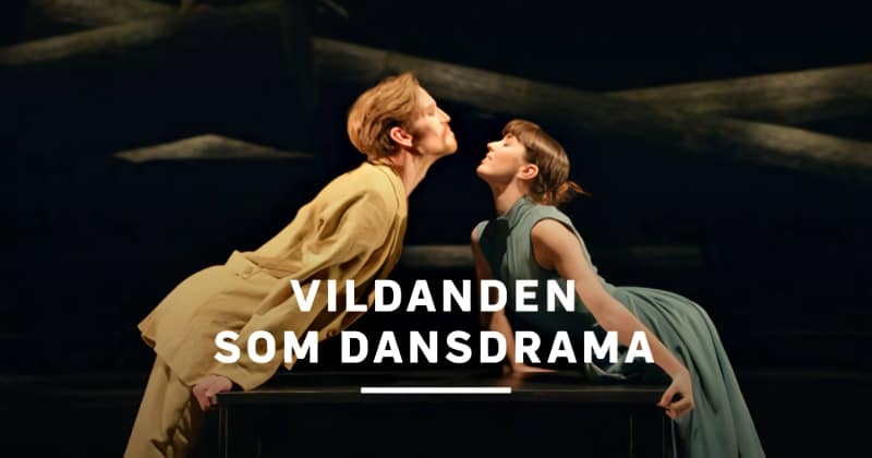 Vildanden som dansdrama