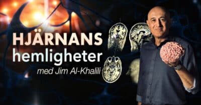 Hjärnans hemligheter med Jim Al-Khalili