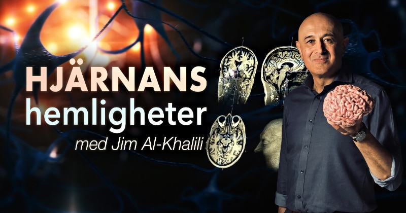 Hjärnans hemligheter med Jim Al-Khalili på UR Play Kunskapskanalen