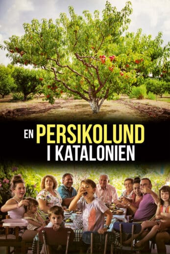 En persikolund i Katalonien