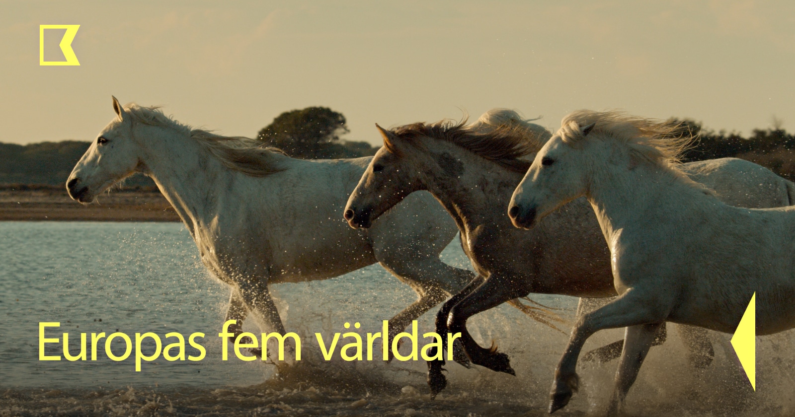 Europas fem världar på SVT Play streama