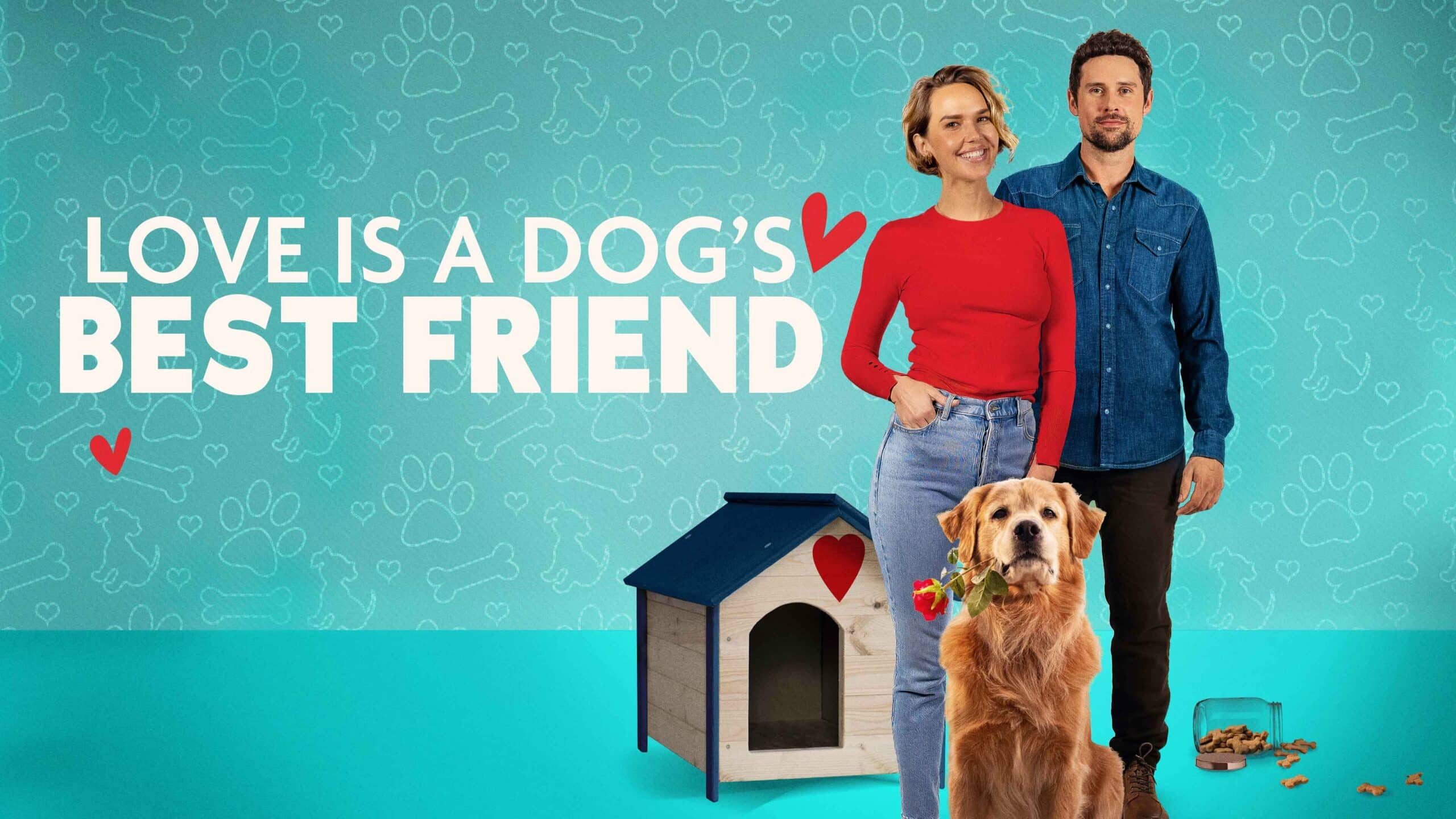 Love is a Dog’s Best Friend TV4 Film TV4 Play