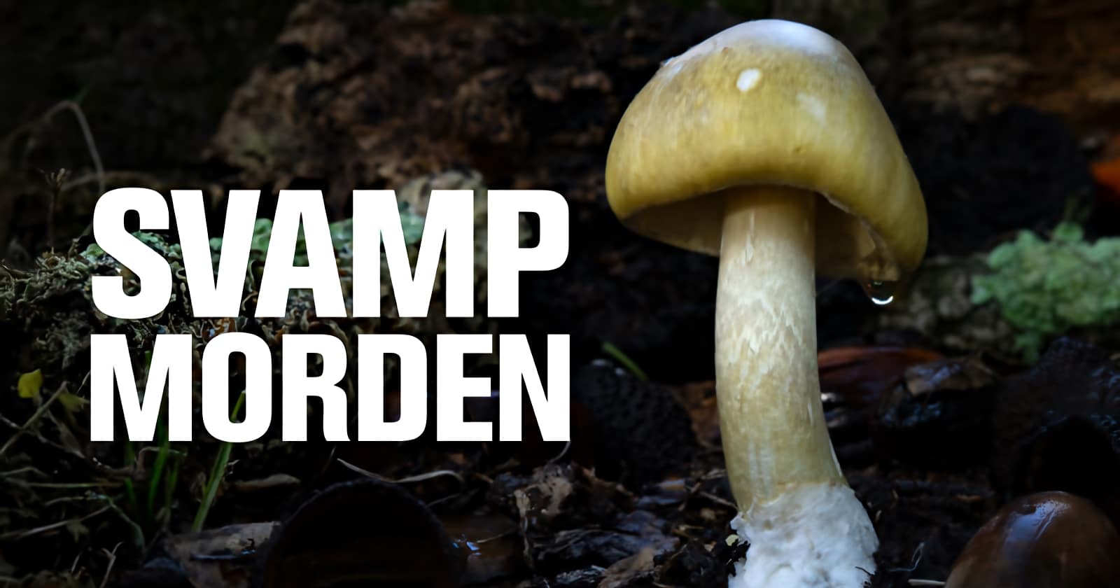 Svampmorden på SVT Play streama