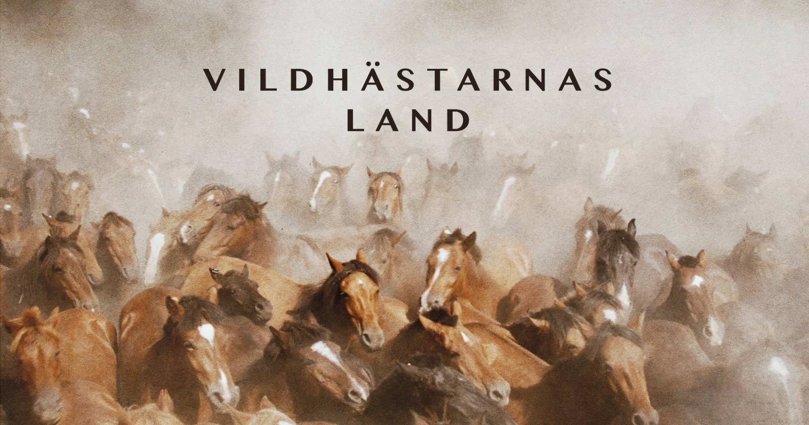 Vildhästarnas land på SVT Play streama