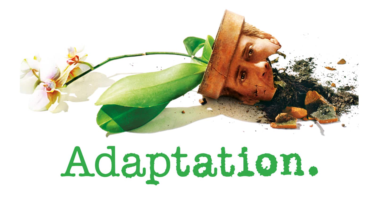 Adaptation på SVT play streama