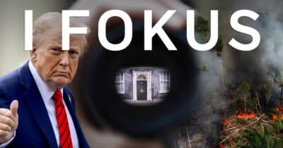 I fokus