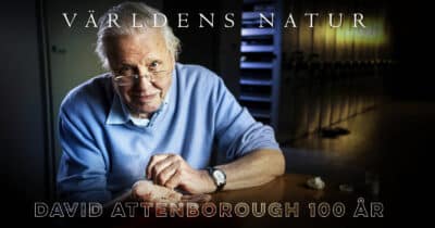David Attenborough återvänder till platser som format hans karriär