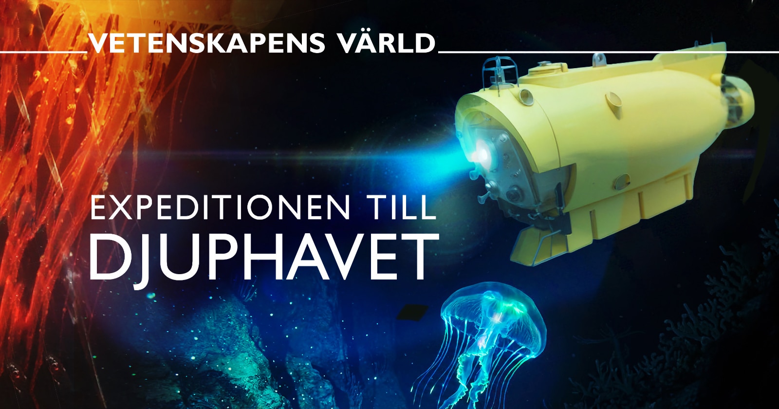 Expeditionen till djuphavet på SVT Play streama