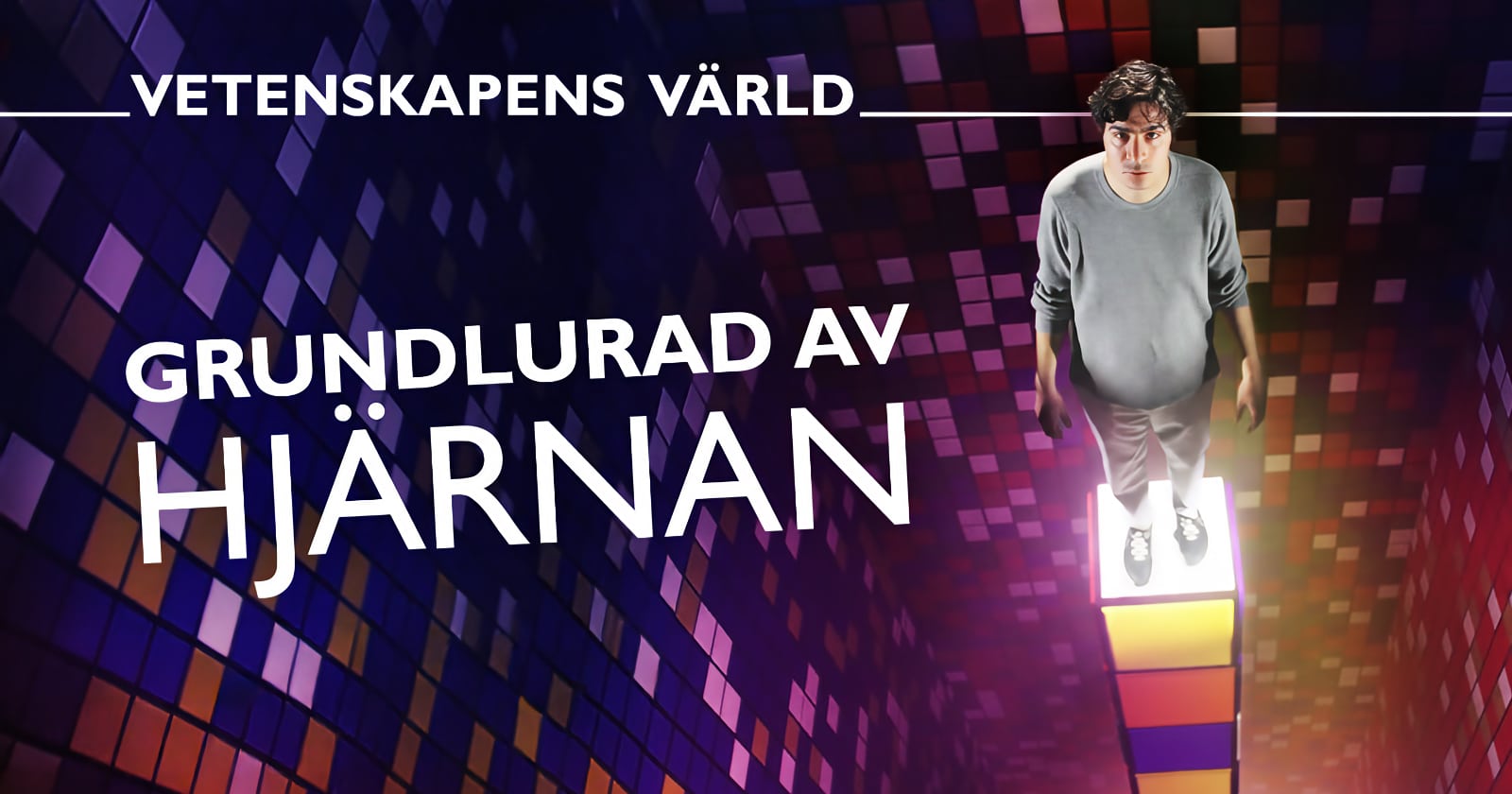 Grundlurad av hjärnan på SVT Play streama