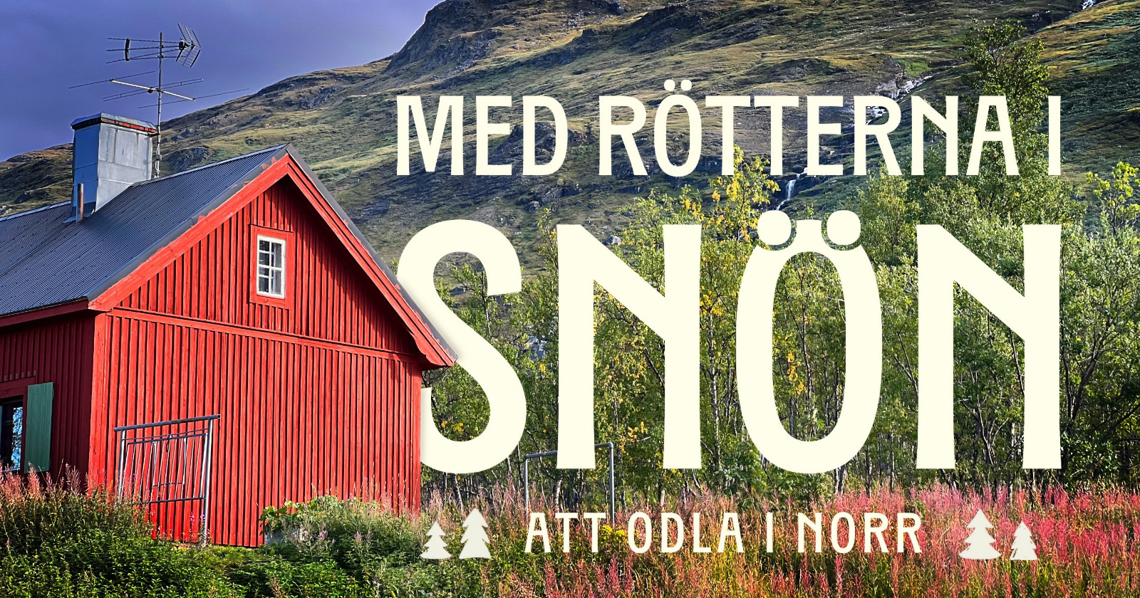 Med rötterna i snön på SVT Play streama