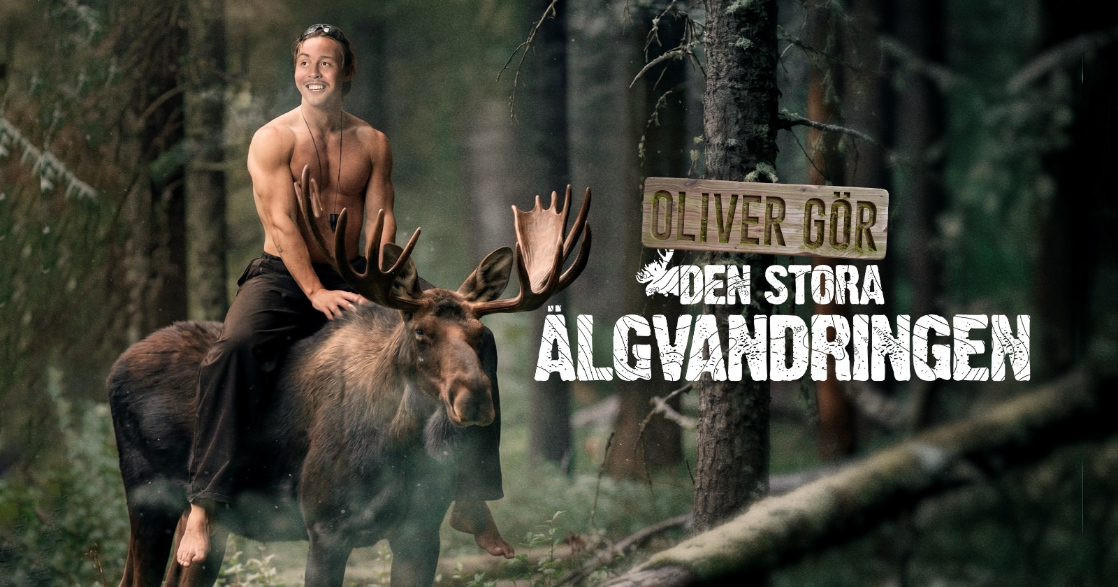 Oliver gör Den stora älgvandringen på SVT Play streama