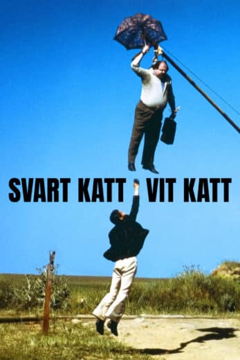 Svart katt, vit katt