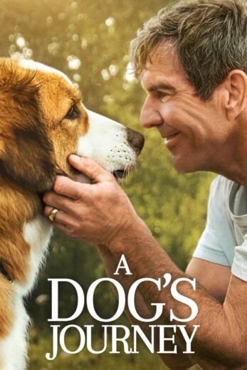A Dog’s Journey