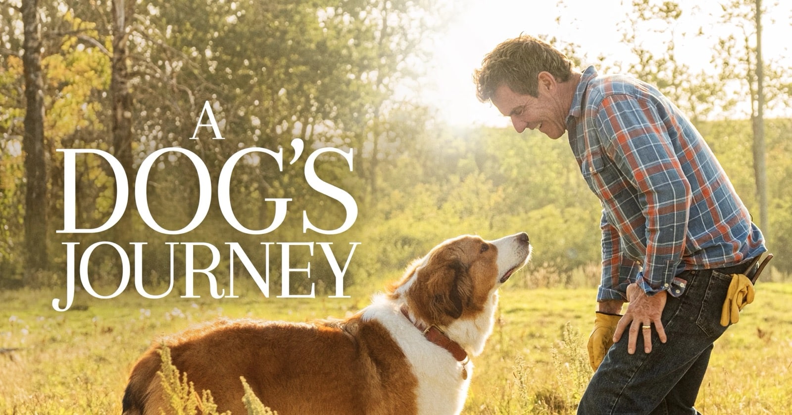 A Dog´s Journey på TV4 Play streama