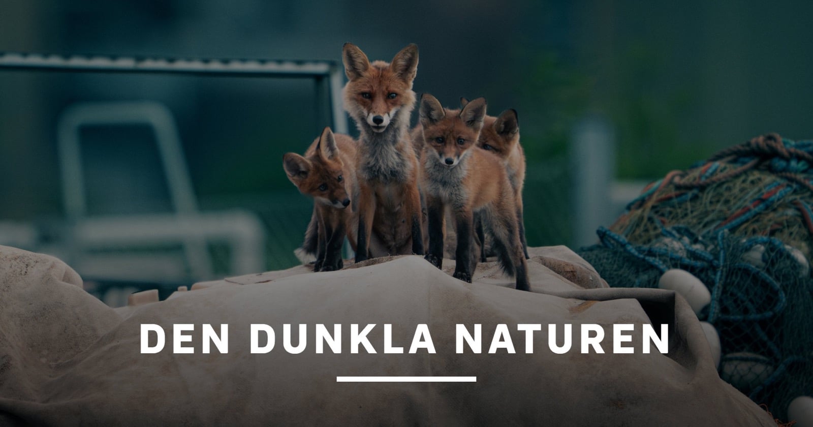 Den dunkla naturen på SVT Play