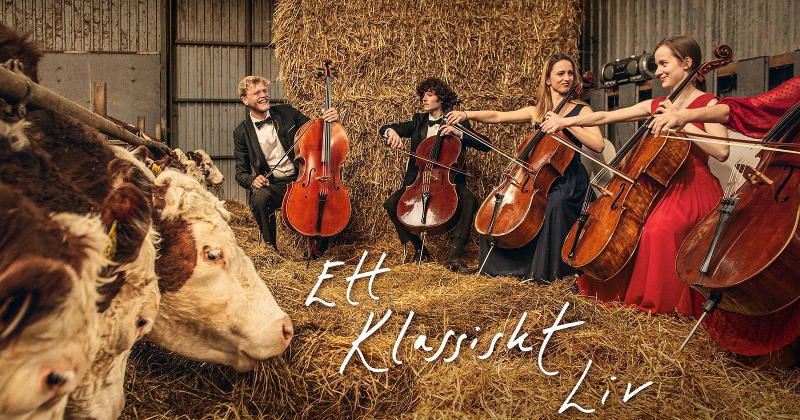 Ett klassiskt liv på SVT Play