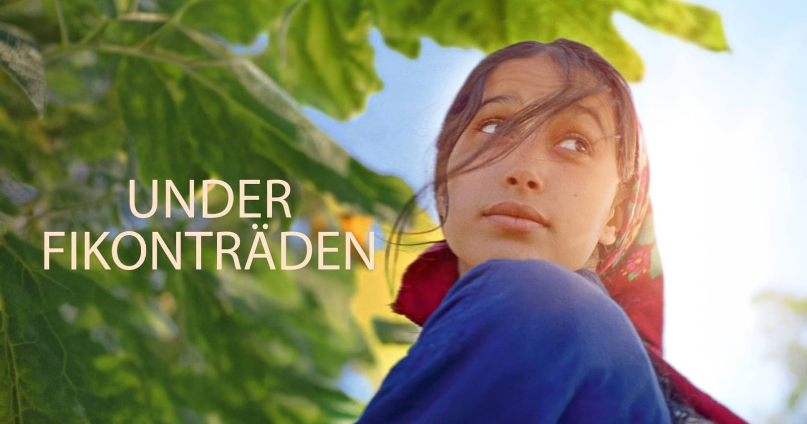 Under fikonträden på SVT Play